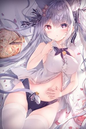 兽耳,猫耳,胖次,丝袜